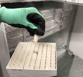 Microbial culture collections can help researchers during a research ...